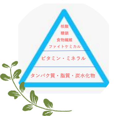 「核酸」とは、DNA・RNAのこと